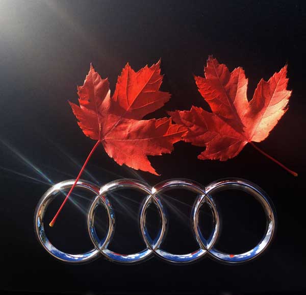 Audi-Logo-Maple-Leafs_600